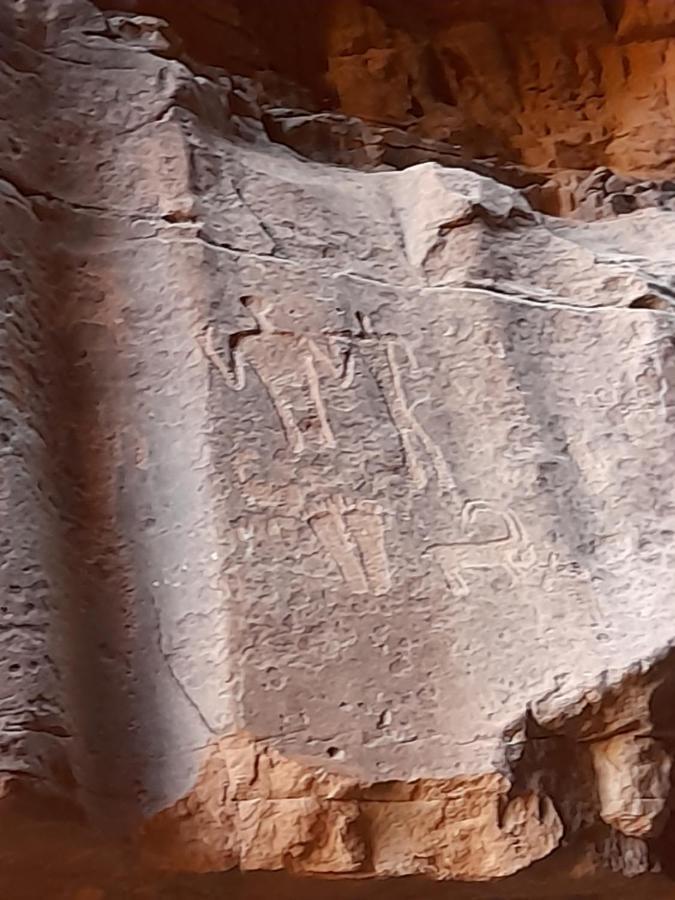 Wadi Rum Camels Camp Buitenkant foto