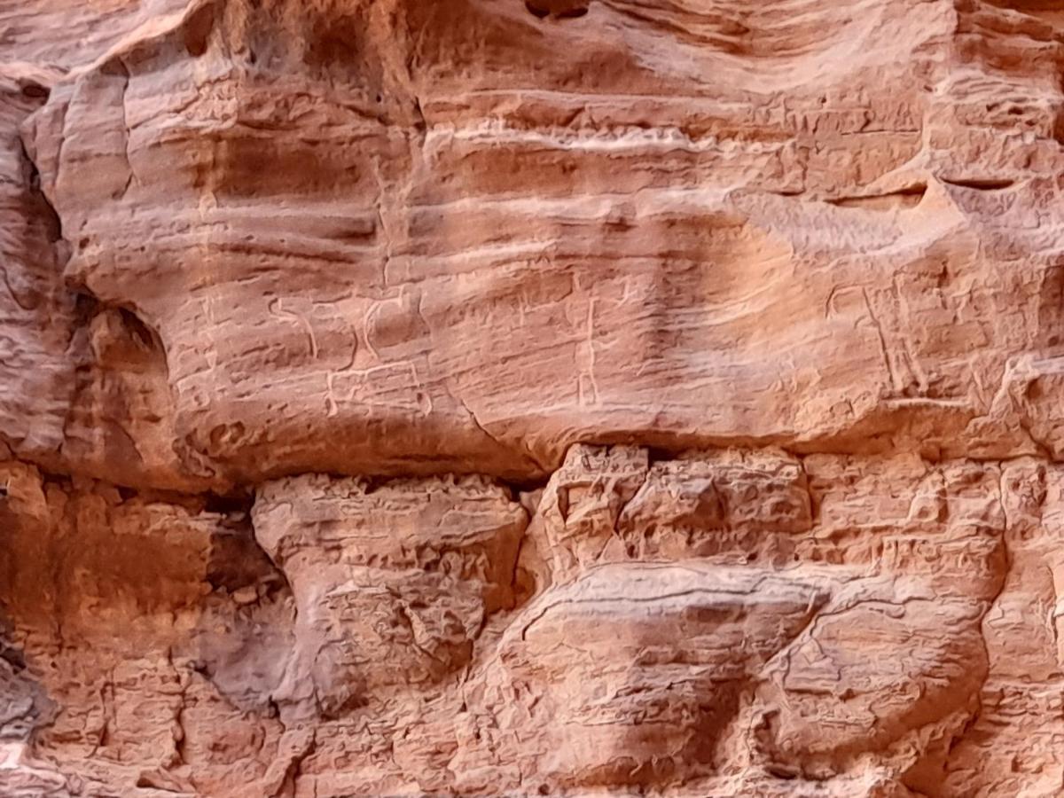 Wadi Rum Camels Camp Buitenkant foto